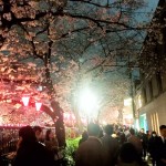 目黒川で桜！そして速報